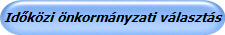 Időközi önkormányzati választás